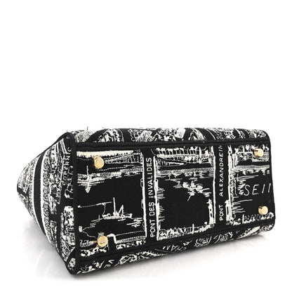 Christian Dior Canvas Embroidered Medium Plan de Paris Lady D-Lite Black White 4 of 13