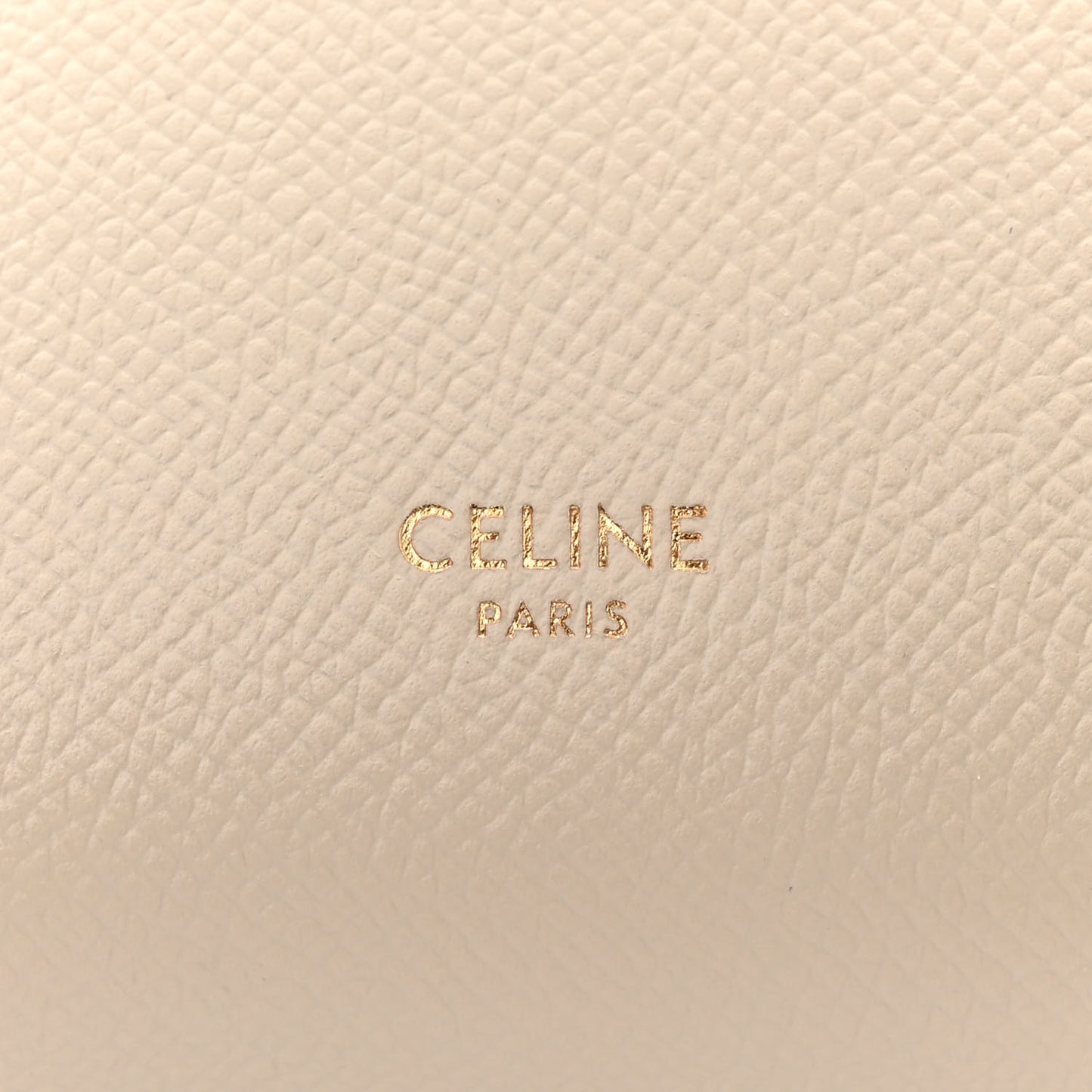 Grained Calfskin Nano Belt Bag Pampa