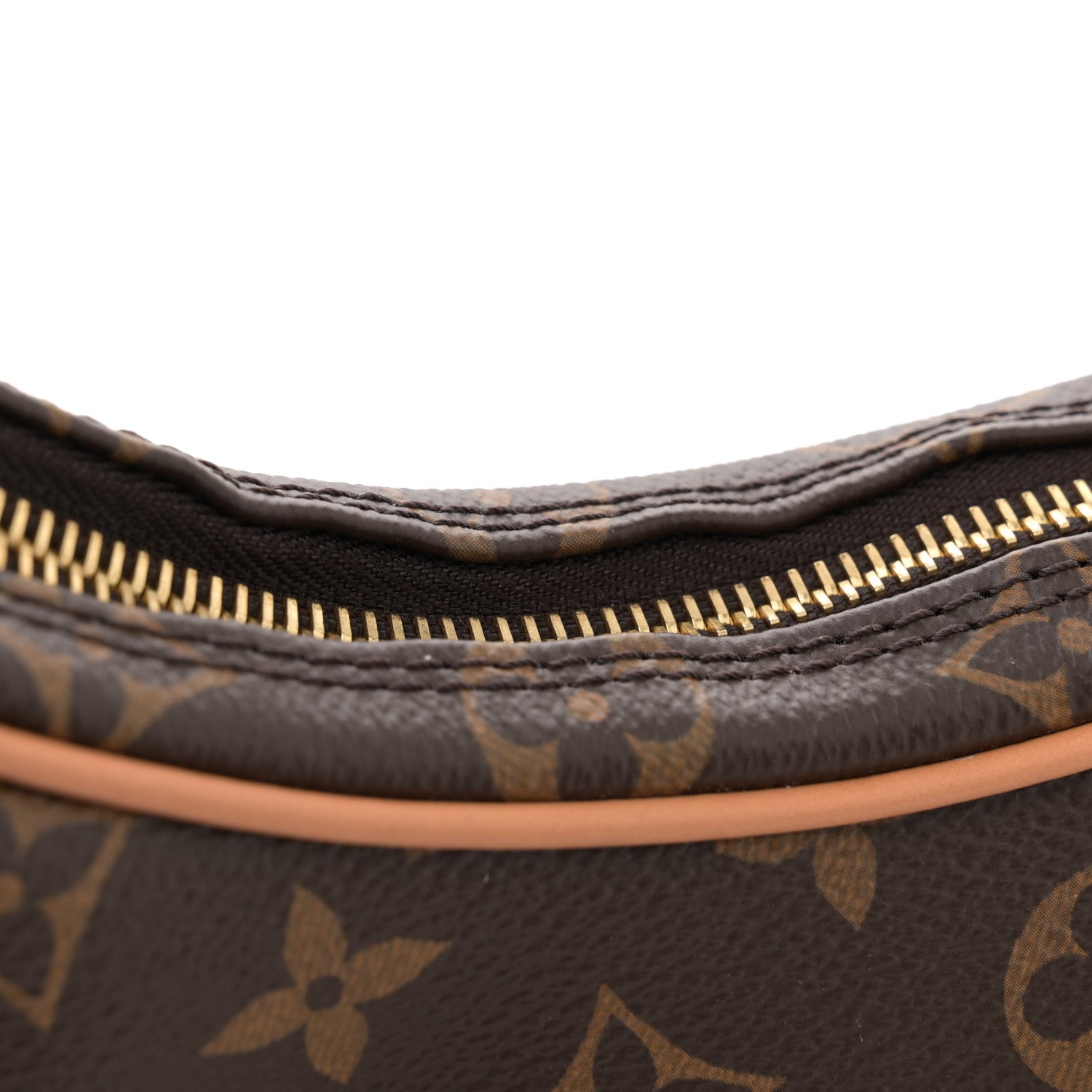 Louis Vuitton Monogram Loop 10 of 10