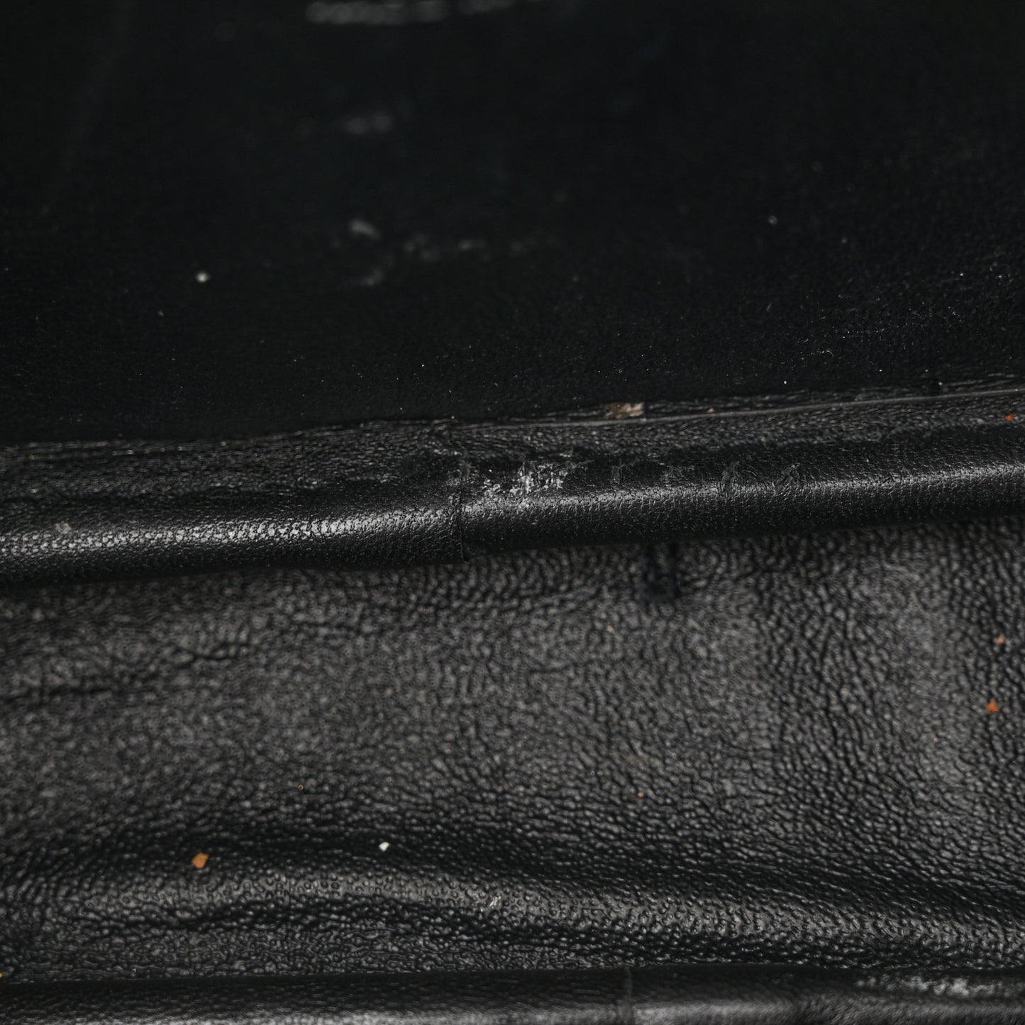 Calfskin Crocodile Embossed Monogram Mini Lou Camera Bag Fog
