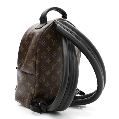 Louis Vuitton Monogram Palm Springs Backpack PM 3 of 23