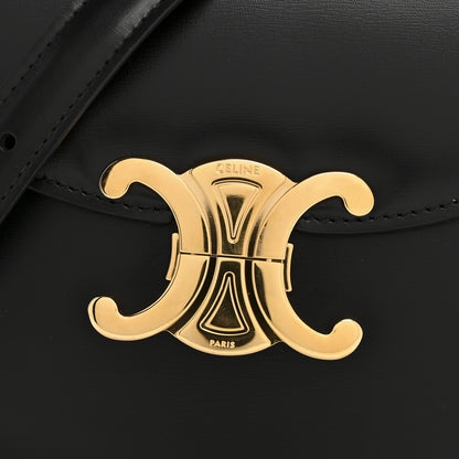 Celine Shiny Calfskin Teen Besace Black 13 of 13