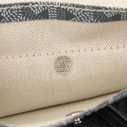 Goyard Goyardine Saint Louis PM Grey 15 of 17