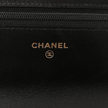 Chanel Goatskin Quilted Chanel 19 Wallet On Chain WOC Black 6 of 11
