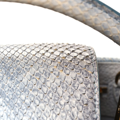 Louis Vuitton Taurillon Snakeskin Capucines BB 11 of 12