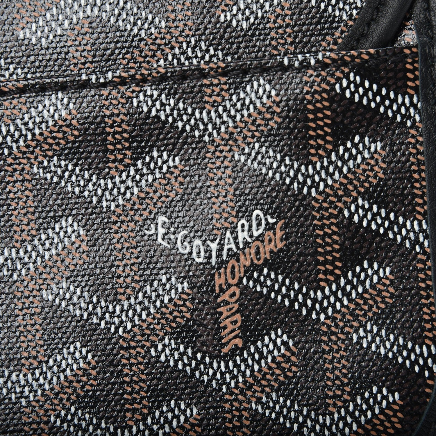 Goyard Goyardine Saint Louis PM Black 8 of 8