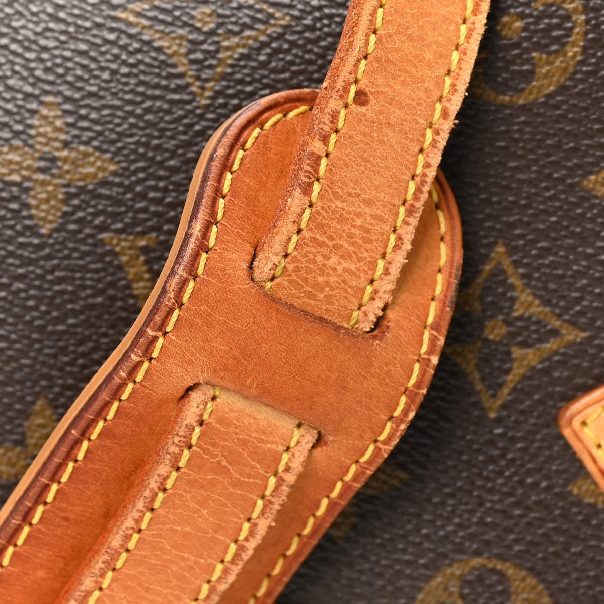 Louis Vuitton Monogram Sologne 9 of 9