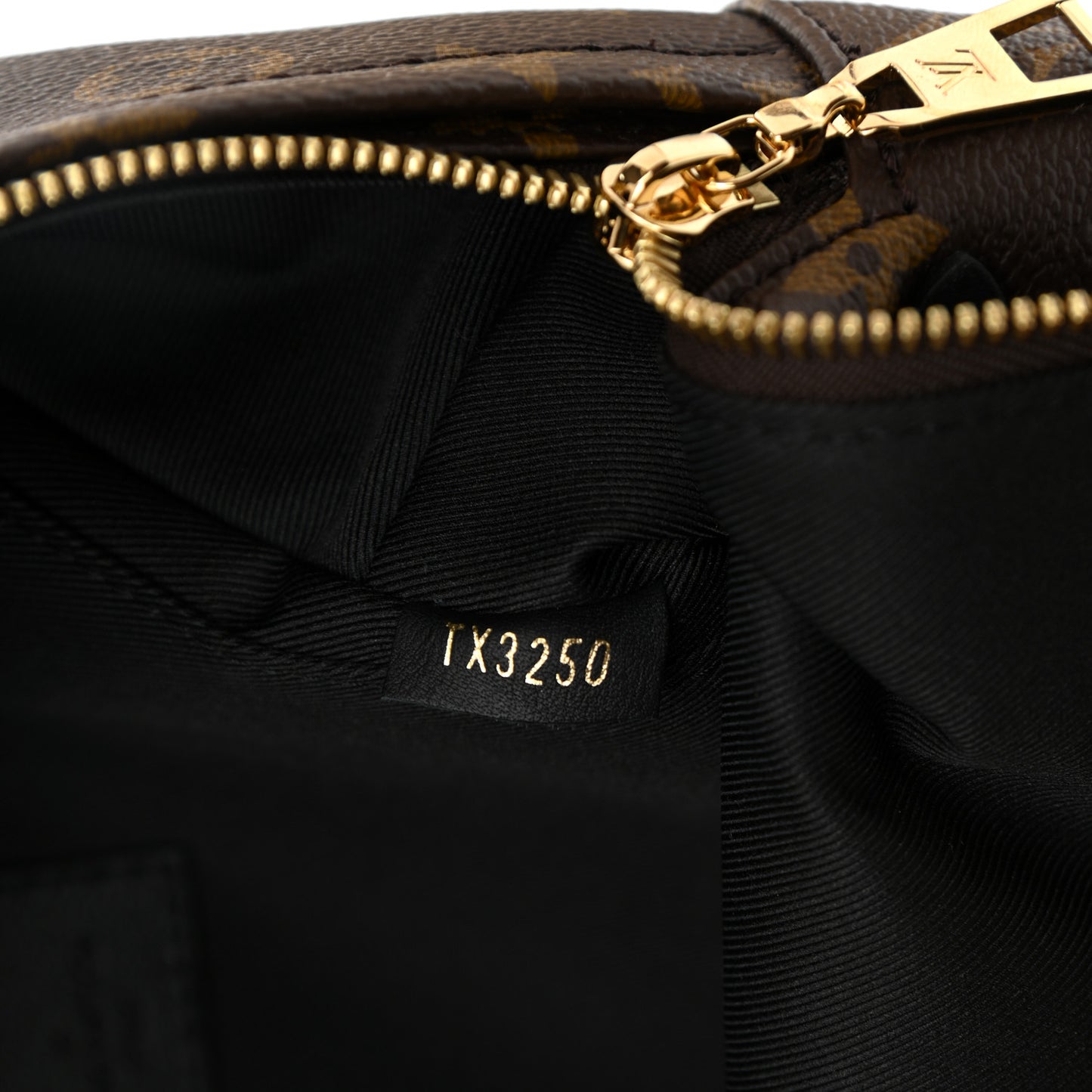 Monogram Palm Springs Backpack PM
