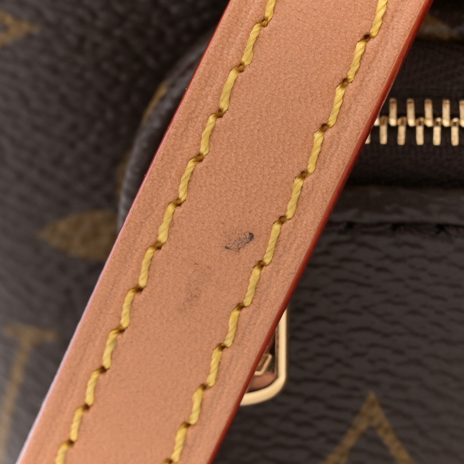 Louis Vuitton Monogram Mini Bumbag 10 of 10