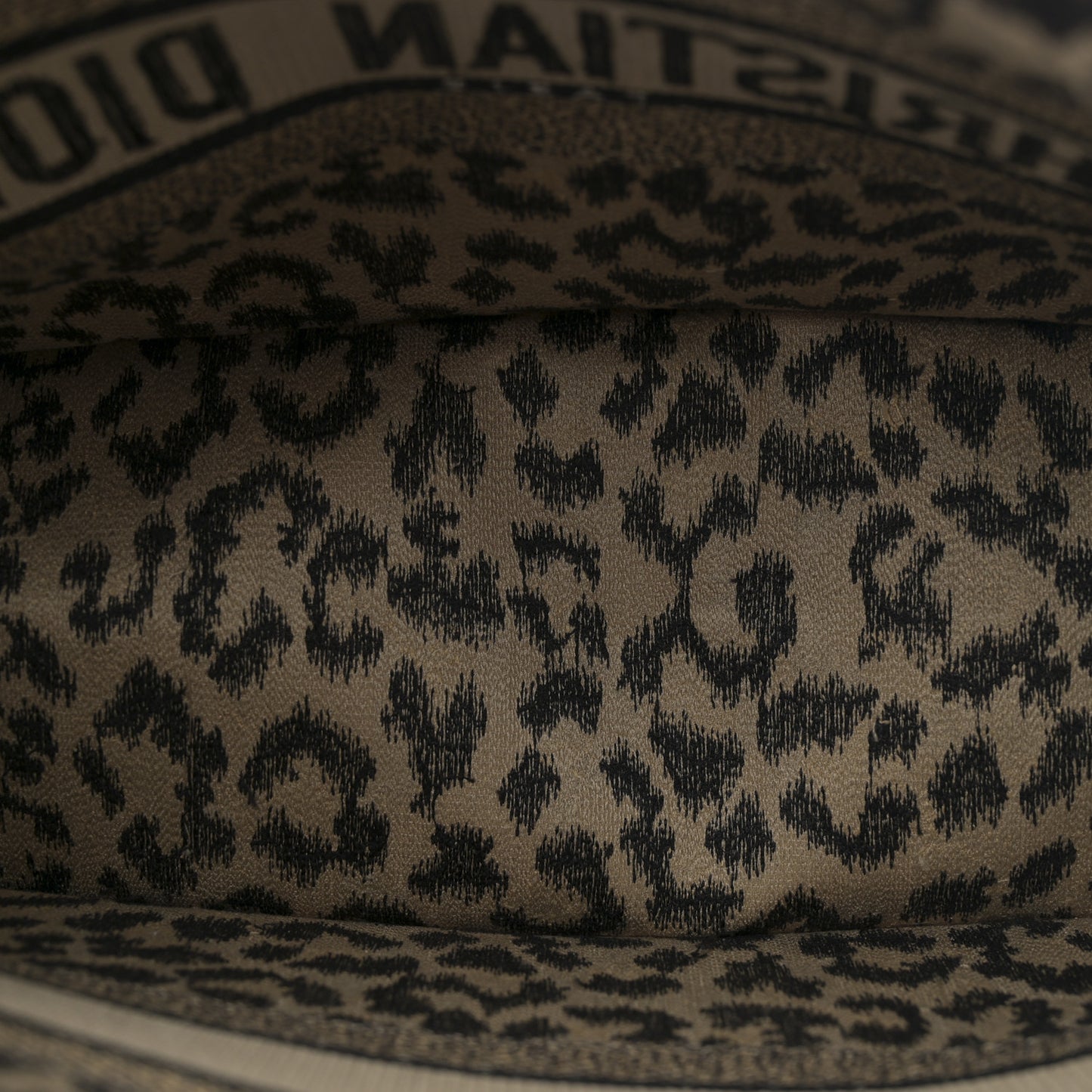 Canvas Mizza Embroidered Medium Leopard Book Tote Beige
