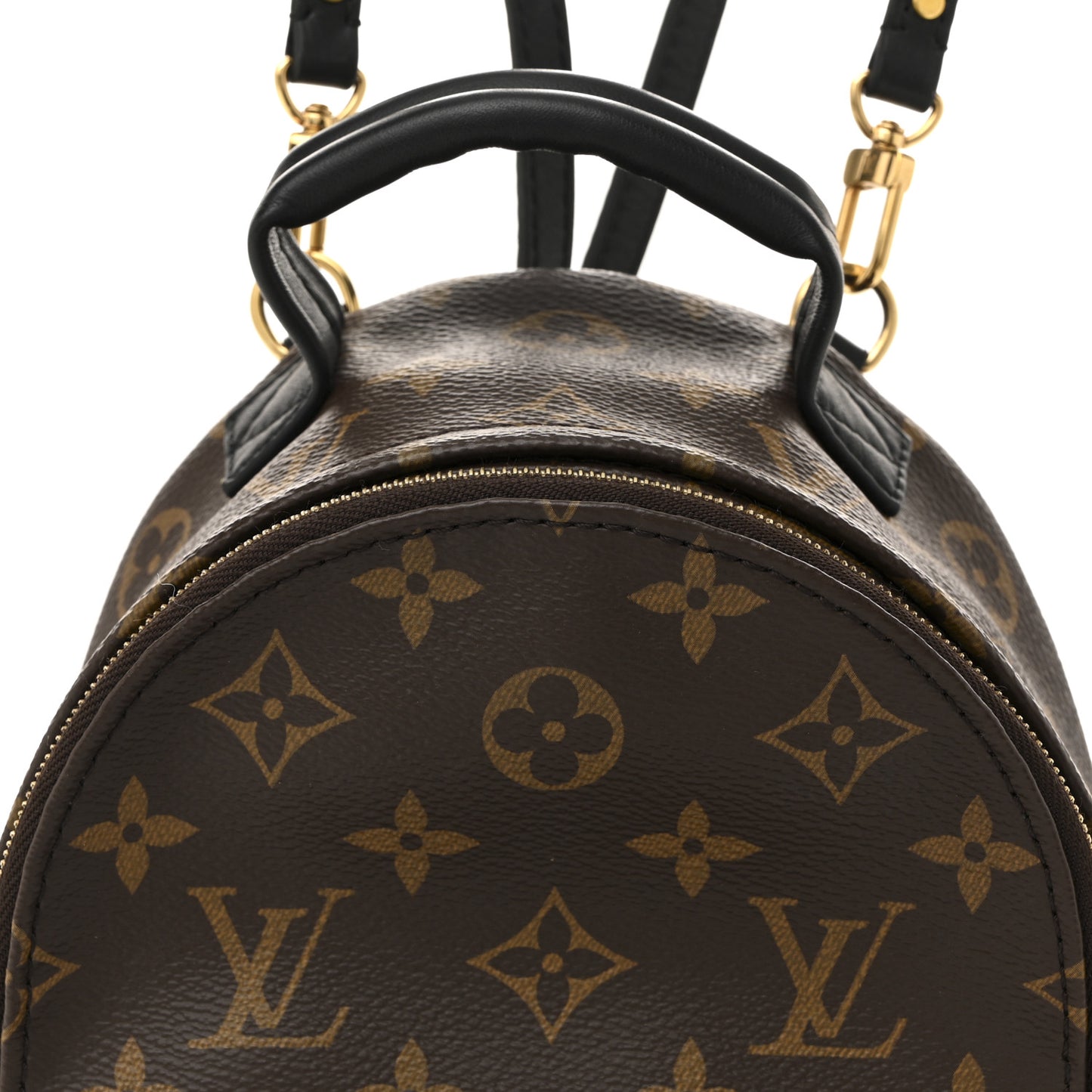 Monogram Palm Springs Backpack Mini