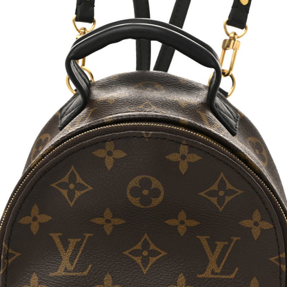 Louis Vuitton Monogram Palm Springs Backpack Mini 7 of 13