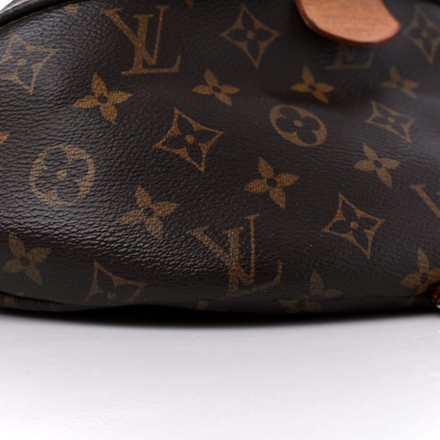 Monogram Bumbag