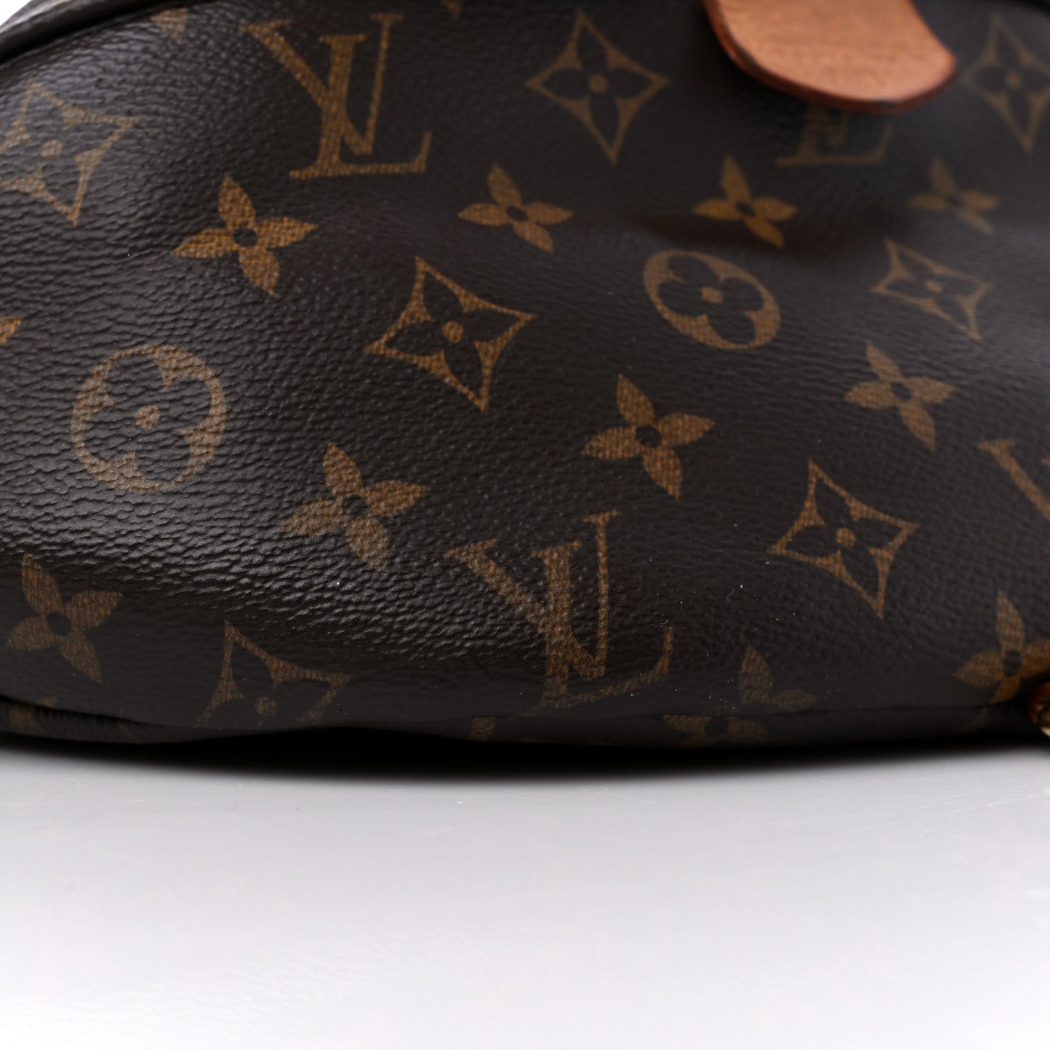 Louis Vuitton Monogram Bumbag 9 of 18