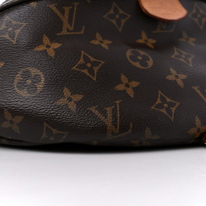Louis Vuitton Monogram Bumbag 9 of 18