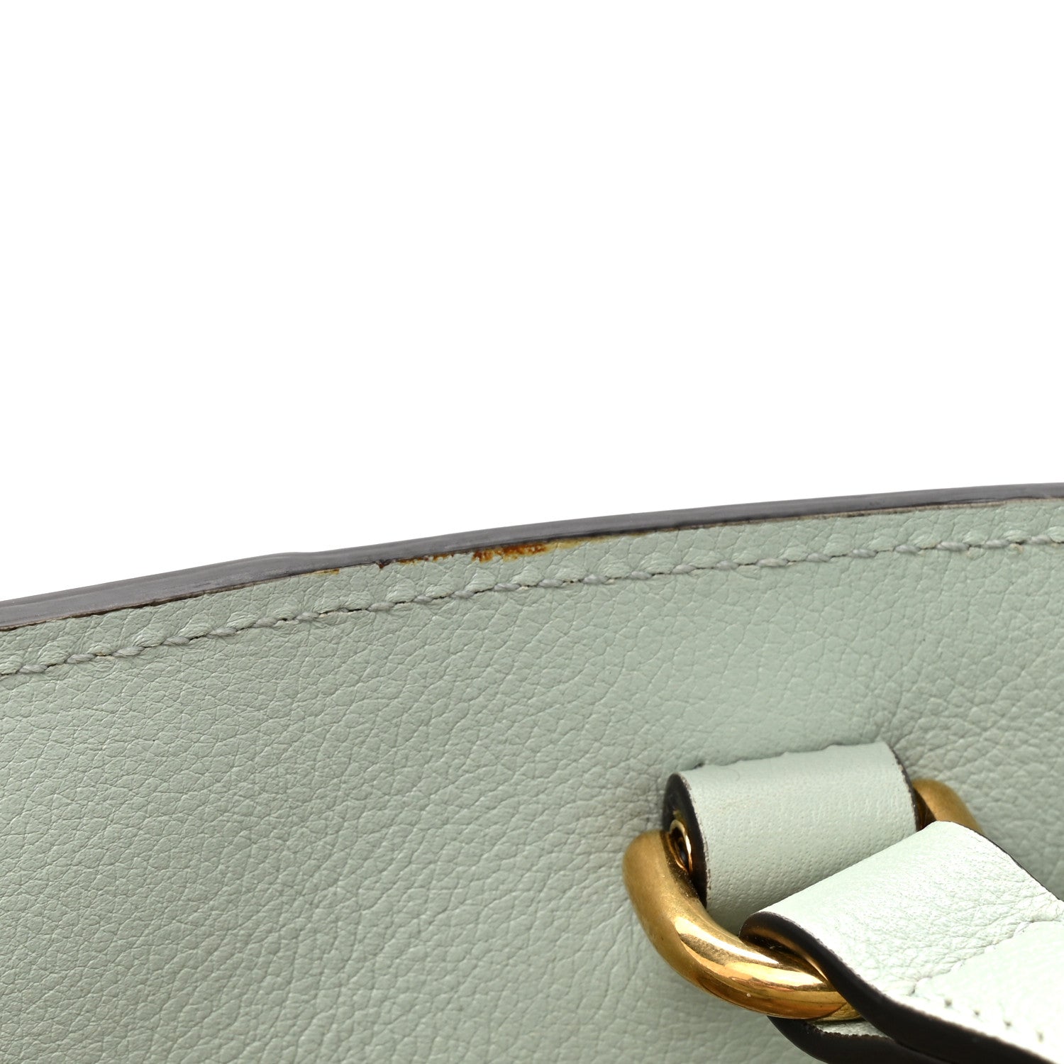 Gucci Softy Wonka Textured Dollar Calfskin Mini Diana Tote Salvy Green 12 of 12