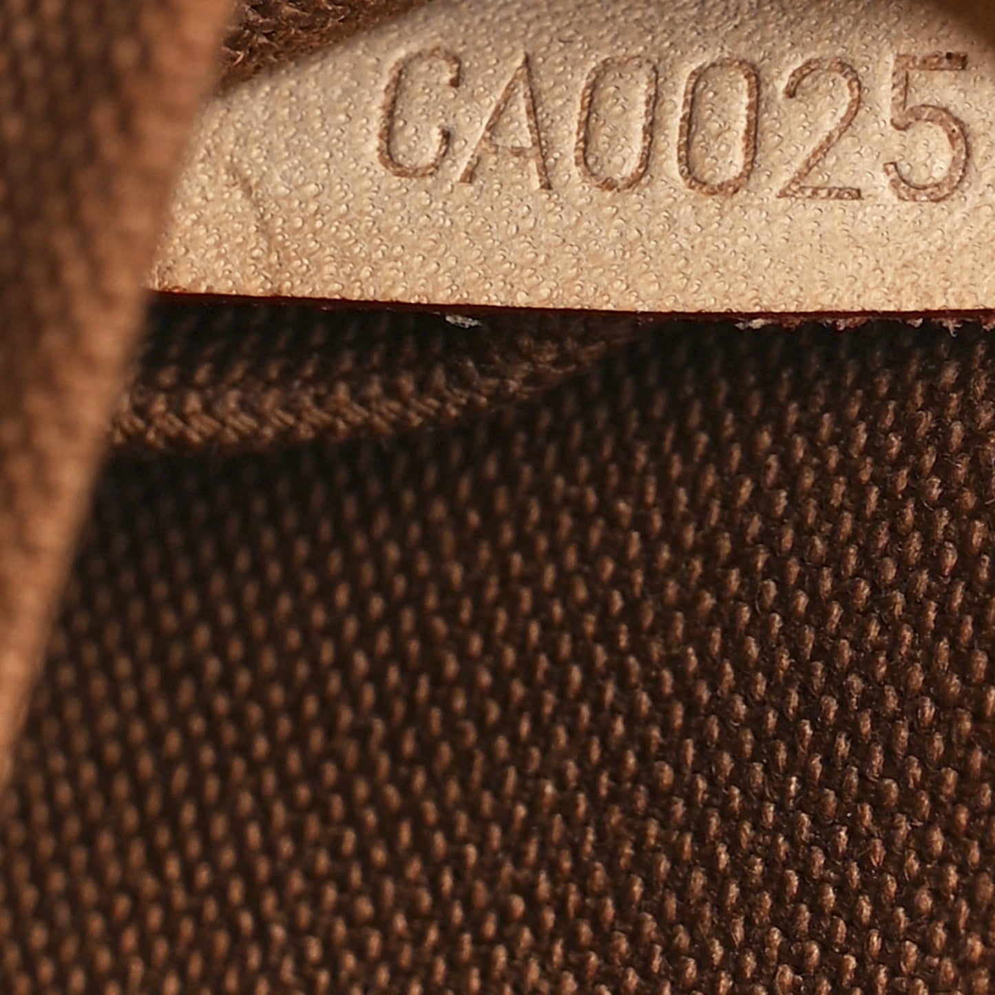 Monogram Ribera Mini