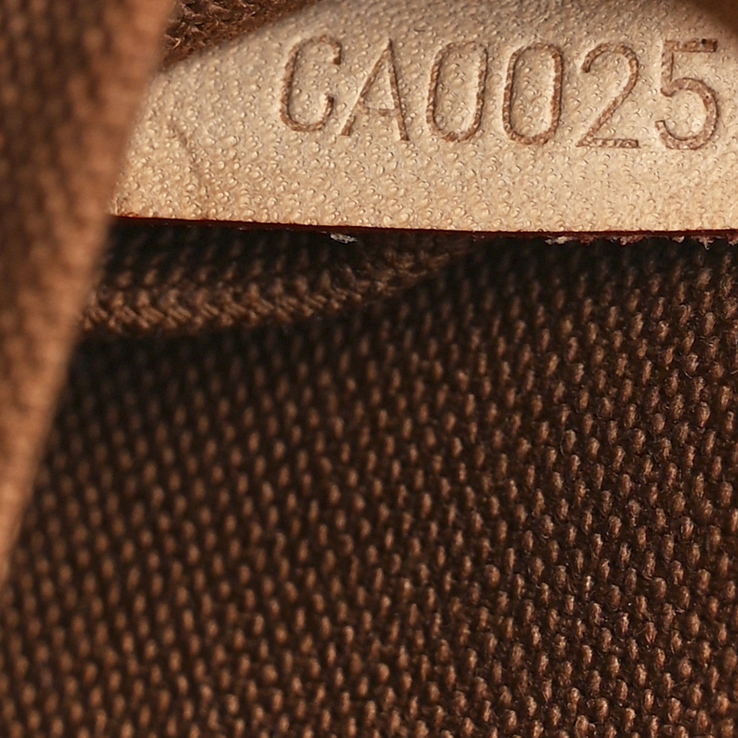 Louis Vuitton Monogram Ribera Mini 6 of 10