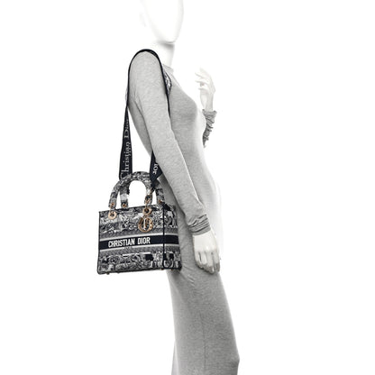 Christian Dior Canvas Toile De Jouy Embroidered Medium Lady D-Lite 2 of 12