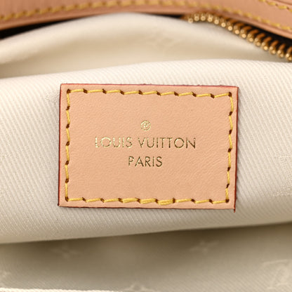 Louis Vuitton Monogram High Rise Bumbag 6 of 10
