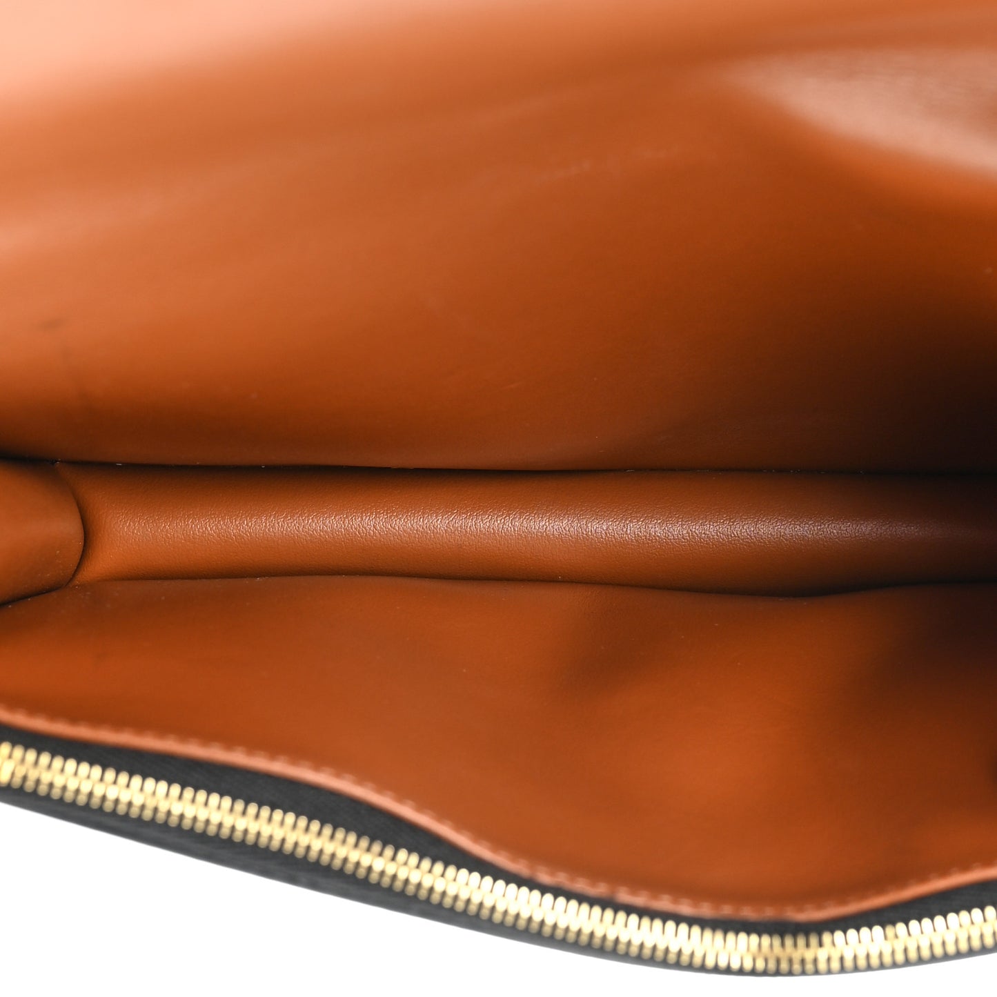 Triomphe Canvas Lambskin Wallet On Strap Tan