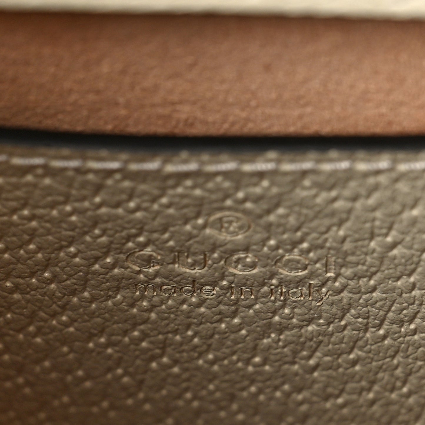 Textured Calfskin Web Mini Diana Tote Bag Mystic White