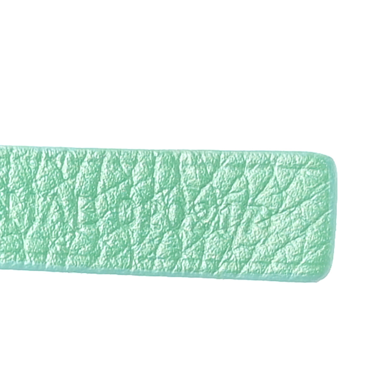 Goyardine Saint Louis PM Green