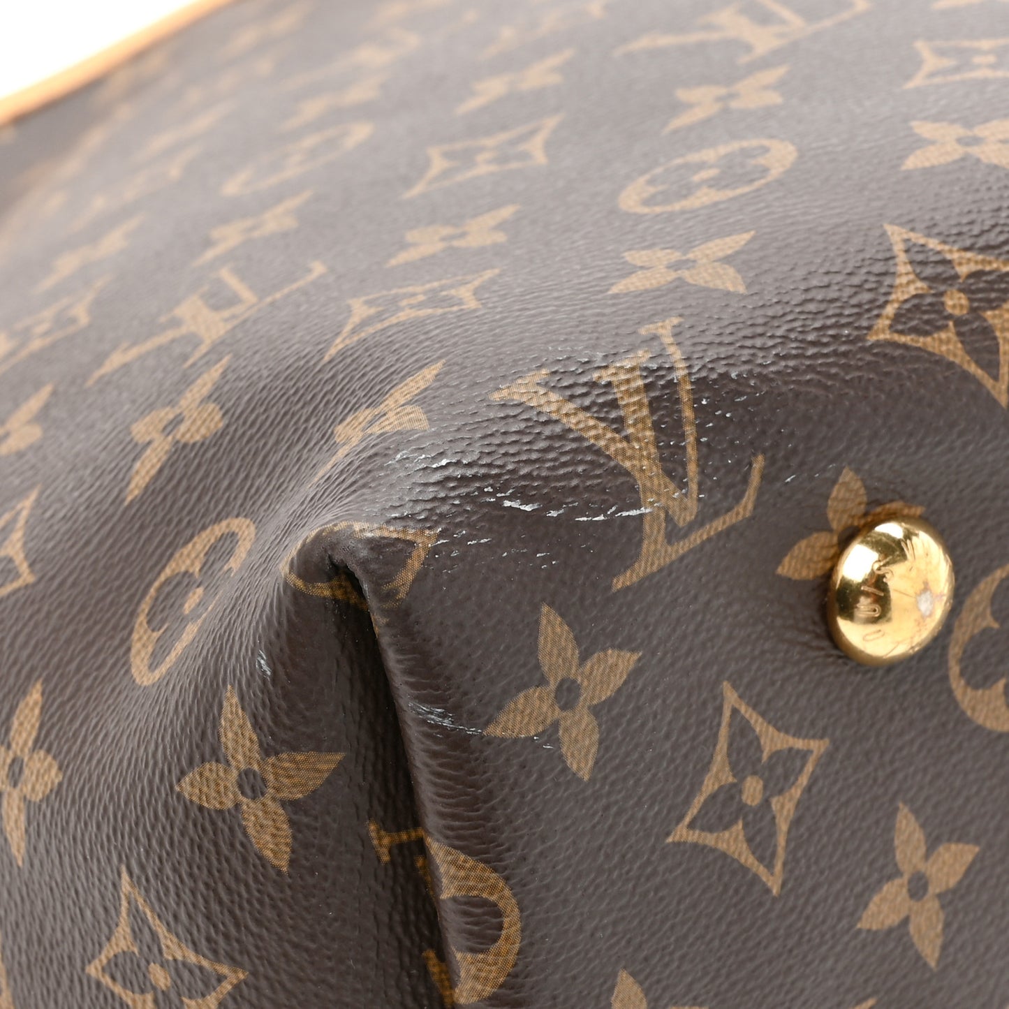 Monogram Carryall MM