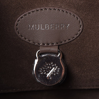 Mulberry Silky Calf Small Willow Tote Taupe 7 of 28