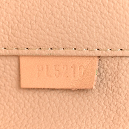Louis Vuitton Monogram Nano Nice 7 of 9