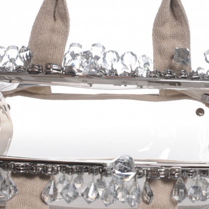 Prada Canvas Plexiglass Frame Crystal Cluster Bag Naturale 6 of 7