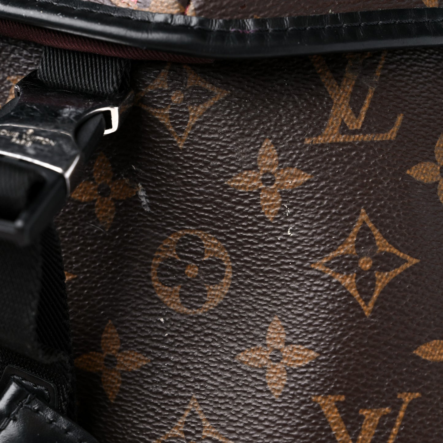 Monogram Macassar Zack Backpack