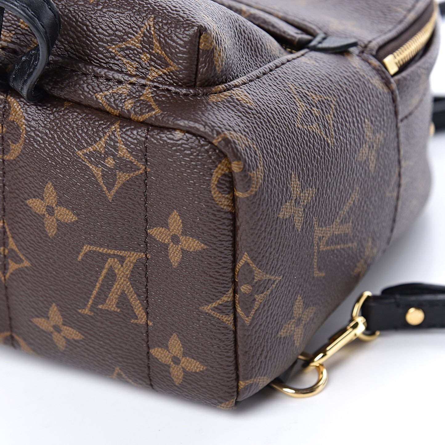 Monogram Palm Springs Backpack Mini