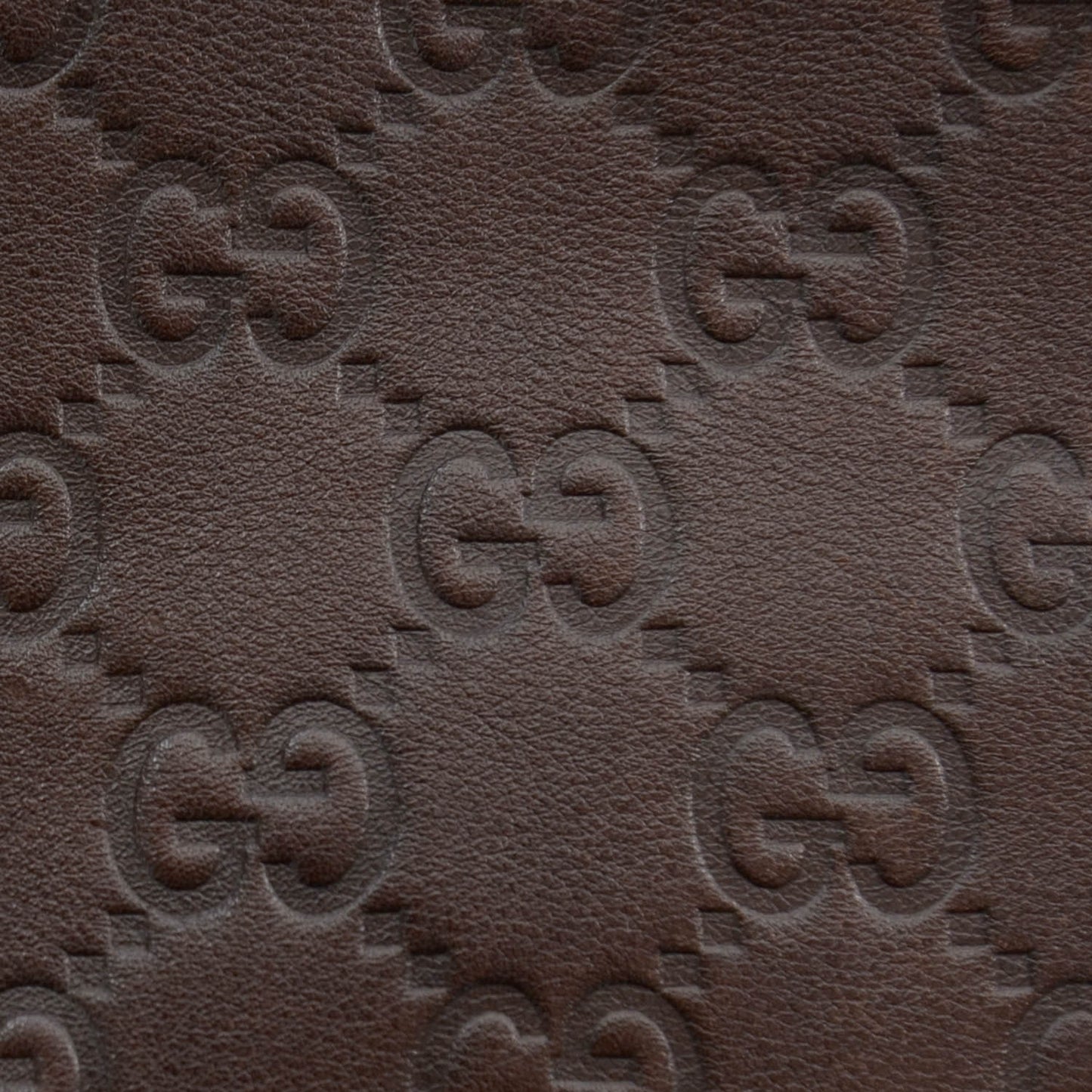 Guccissima Princy Hobo Brown