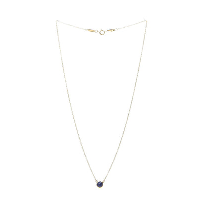 Tiffany 18K Yellow Gold Lapis Lazuli Elsa Peretti Color By The Yard Pendant Necklace 3 of 10