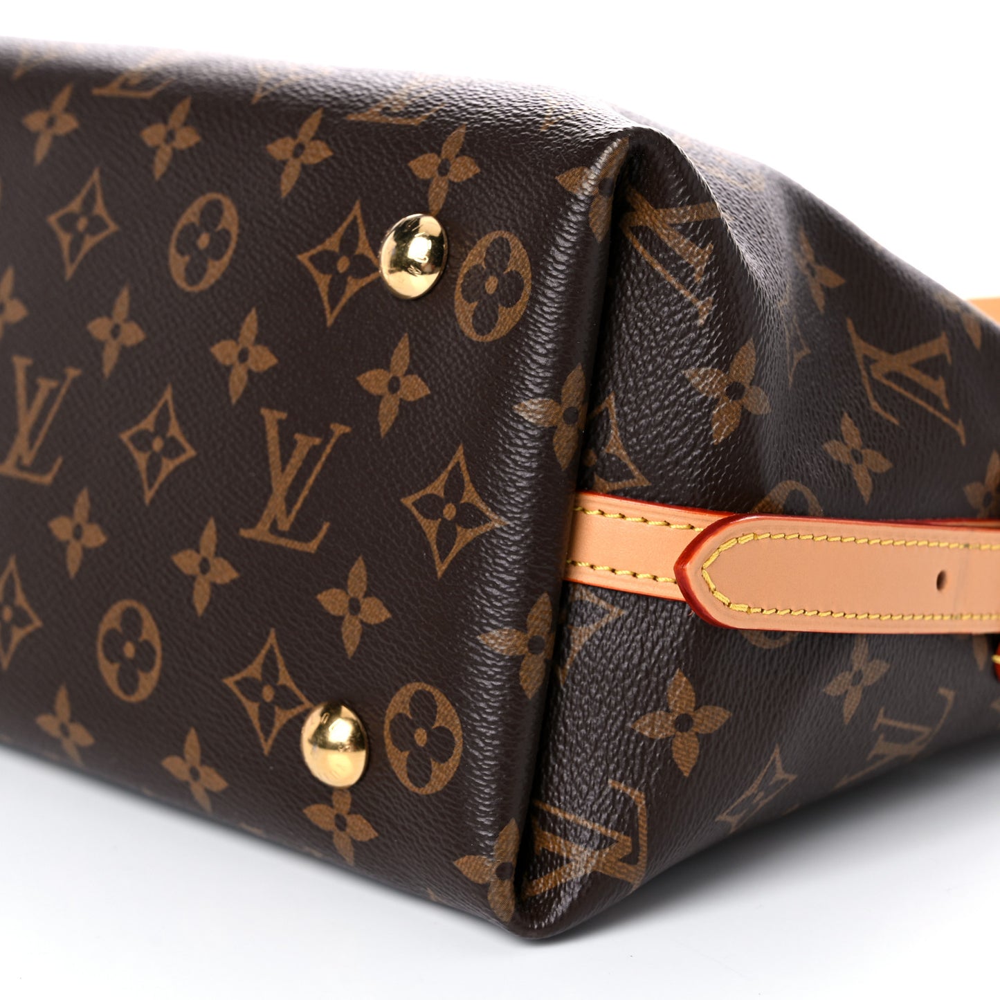 Monogram CarryAll PM