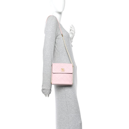 Chanel Calfskin Quilted Pearl Small About Pearls Hobo Bag Light Pink 2 of 10