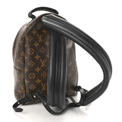 Louis Vuitton Monogram Palm Springs Backpack PM 3 of 8