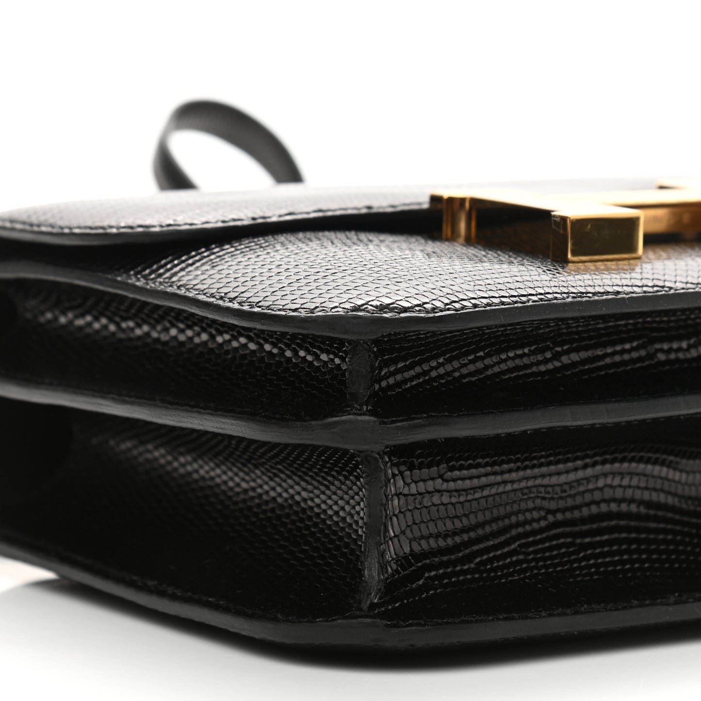 Lizard Constance 18 Black