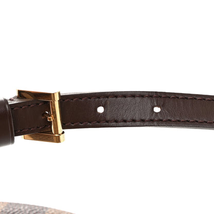 Louis Vuitton Damier Ebene Ipanema PM 13 of 13