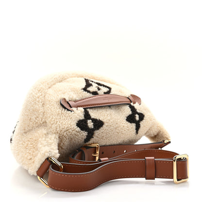 Louis Vuitton Shearling Monogram LV Ski Bumbag Cream Brown 3 of 10