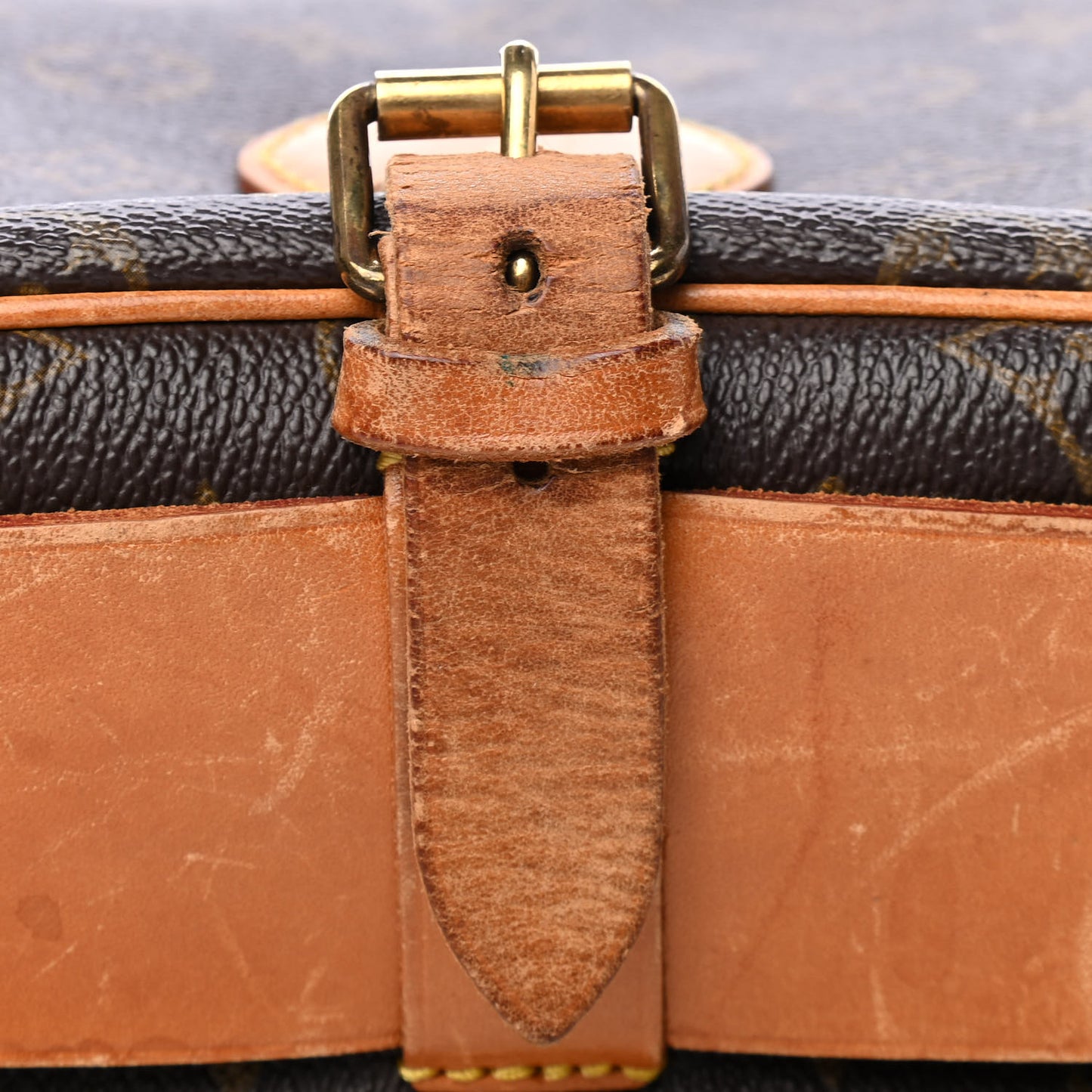 Monogram Cartouchiere 22