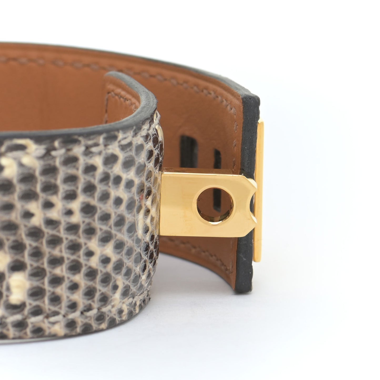 Lizard Collier De Chien CDC 24 Bracelet T2 Desert