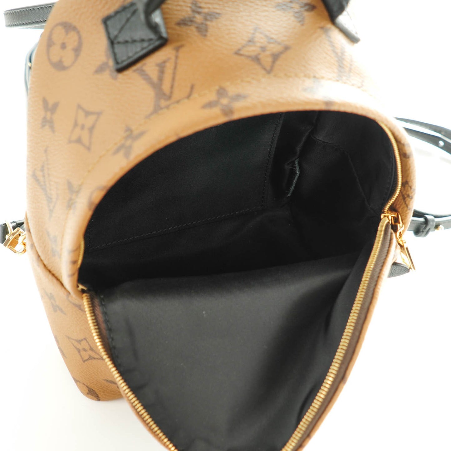 Reverse Monogram Palm Springs Backpack Mini