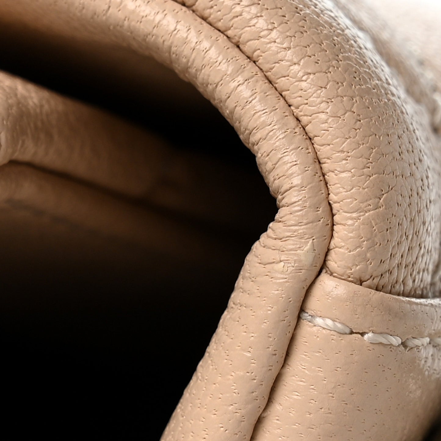 Goatskin Quilted Medium Chanel 19 Flap Light Beige