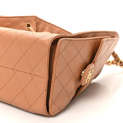 Chanel Caviar Quilted Small Chanel 25 Handbag Brown 10 of 11