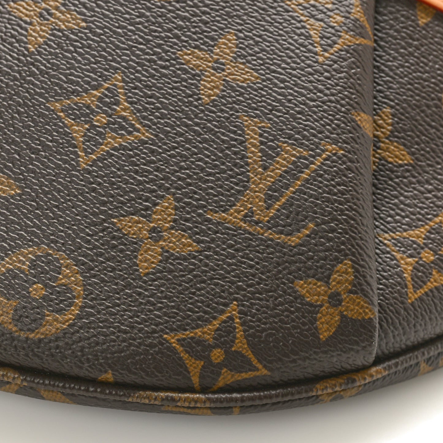 Monogram High Rise Bumbag