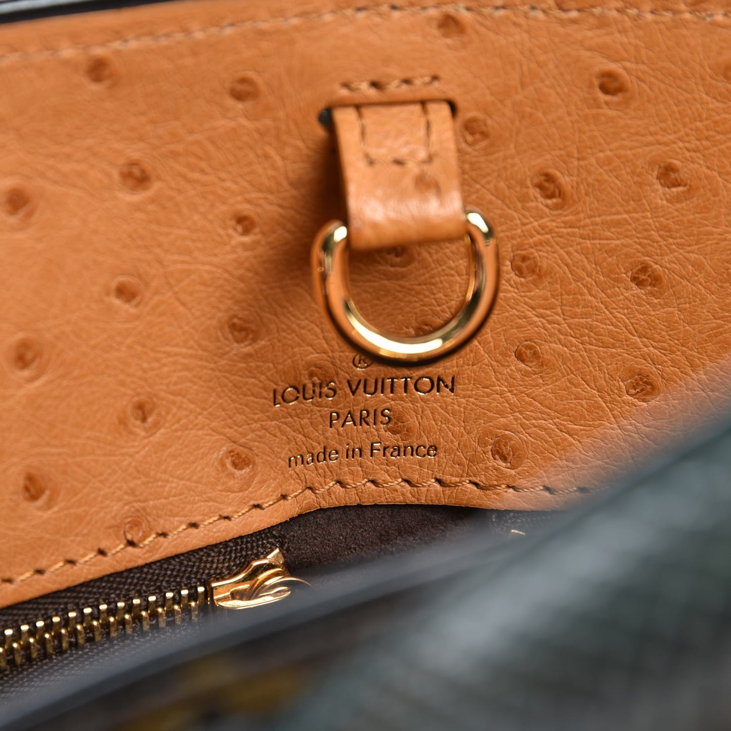 Monogram Etoile Exotique MM Blue