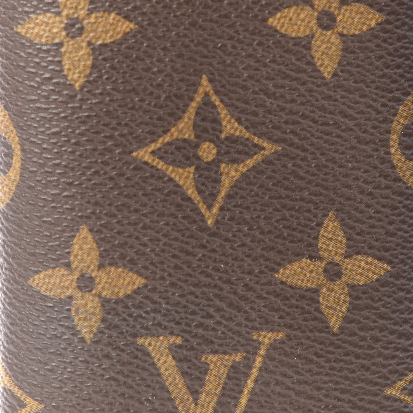 Monogram Sunglasses Case PM