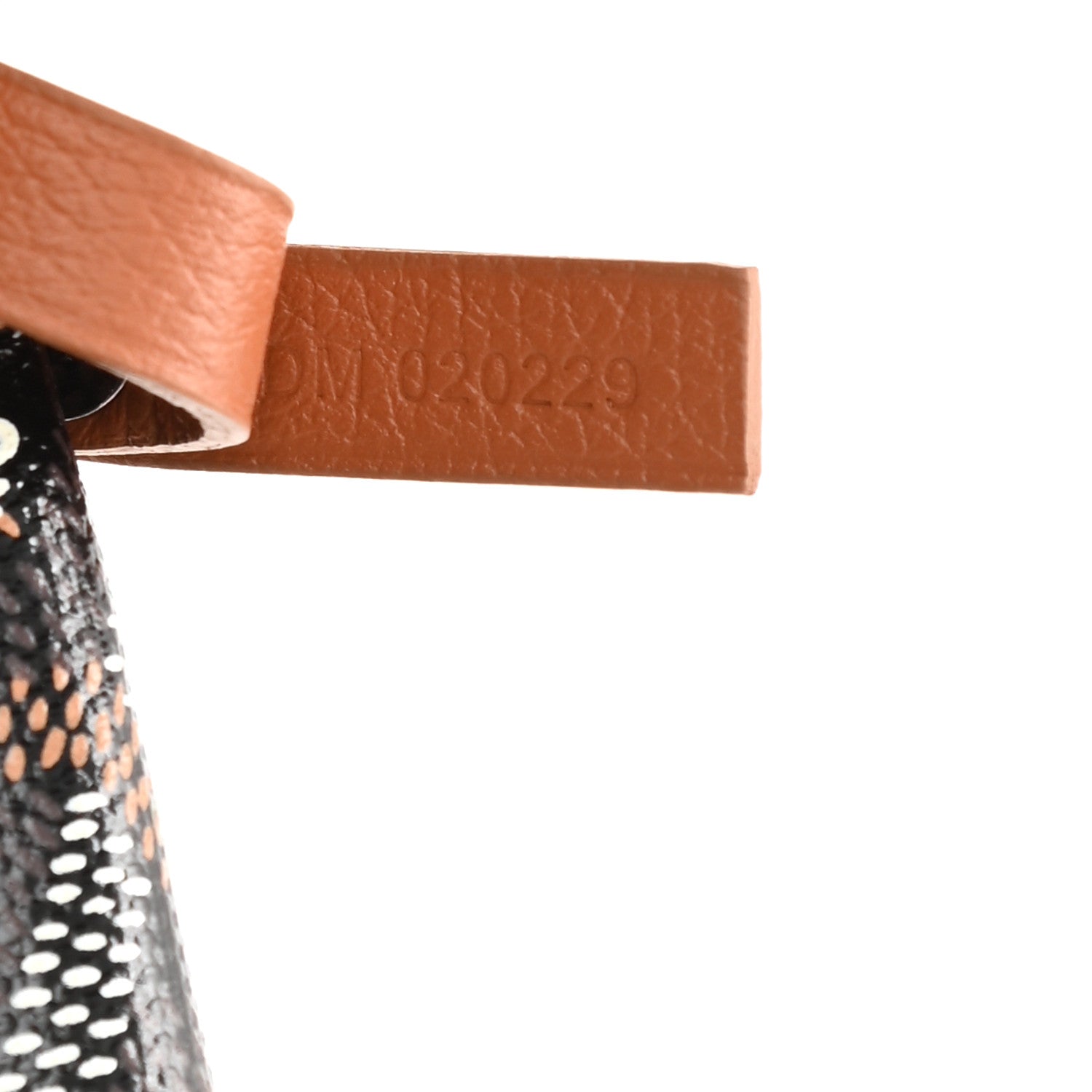 Goyard Goyardine Saint Louis PM Black Gold 7 of 8